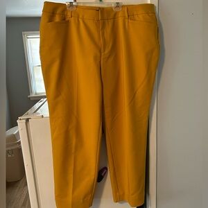 Roz & Ali Gold Straight Leg Ankle Pants